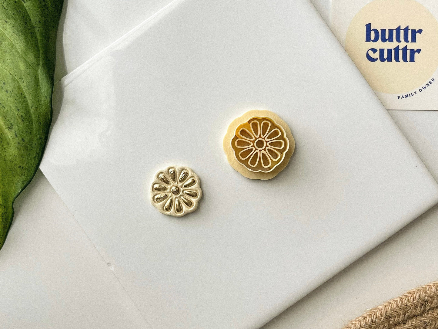 Western Daisy Clay Cutter
